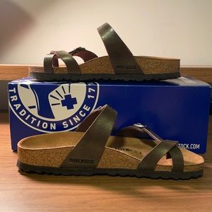 Mayari golden brown asst go